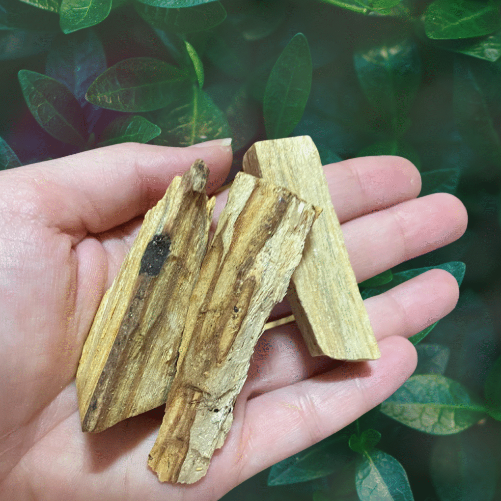 Palo Santo – Madeira de Luz e Purificação