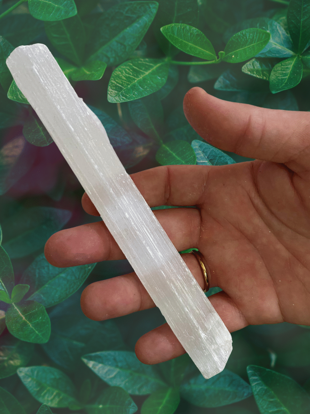Selenita – Pedra da Clareza e Purificação Energética