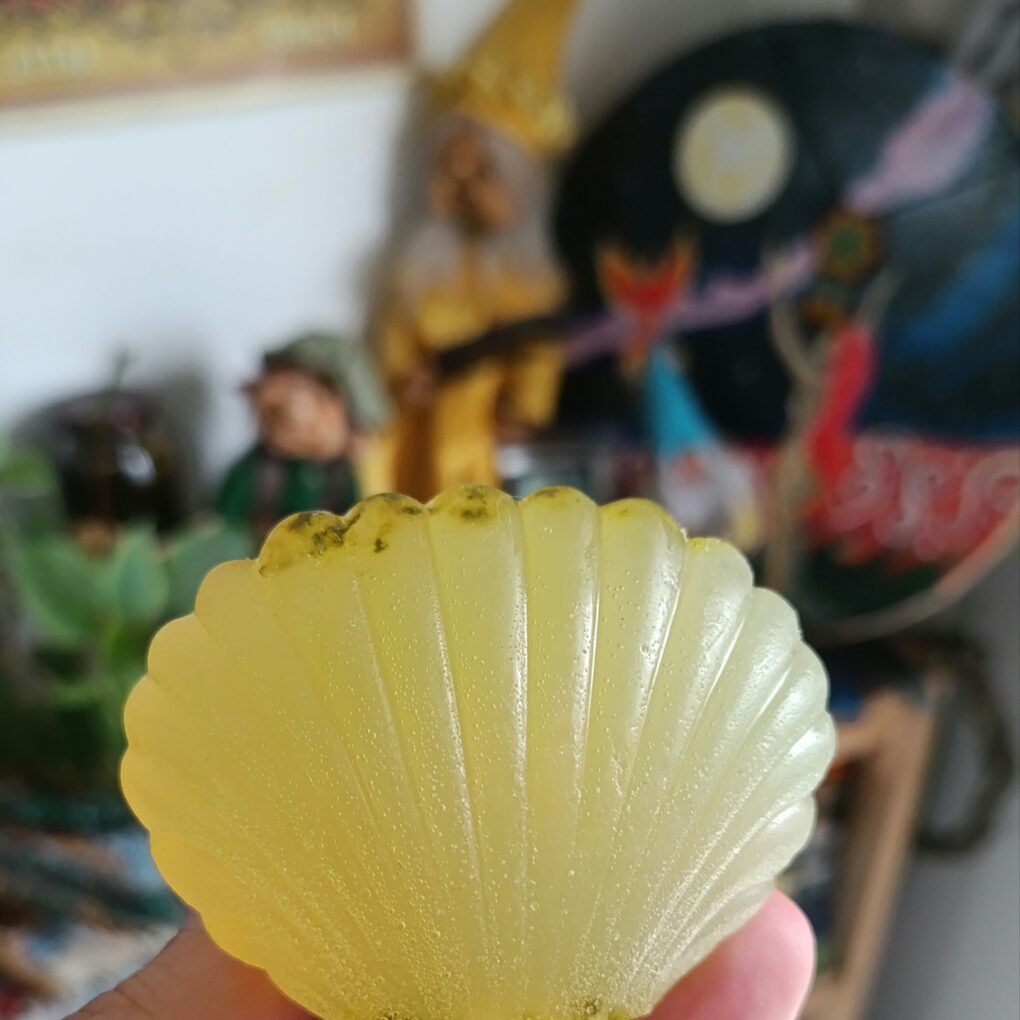 Sabão Concha- Limão & Melaleuca ð«§