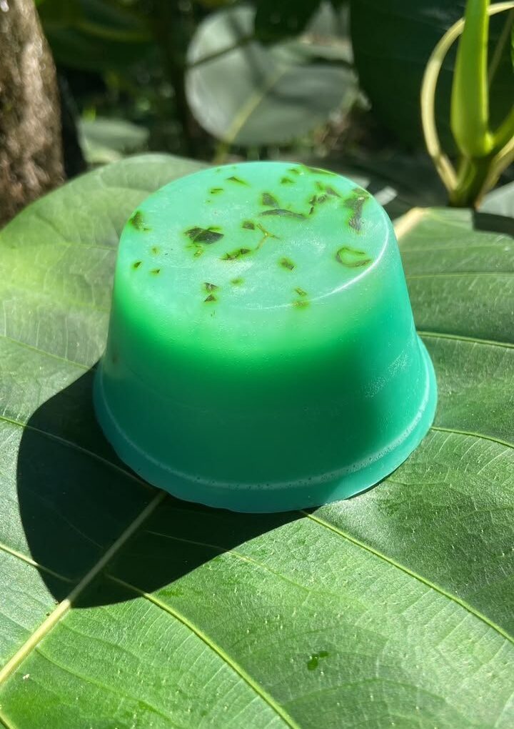 ð¿ Sabonete de Arruda & 7 Ervas com bucha