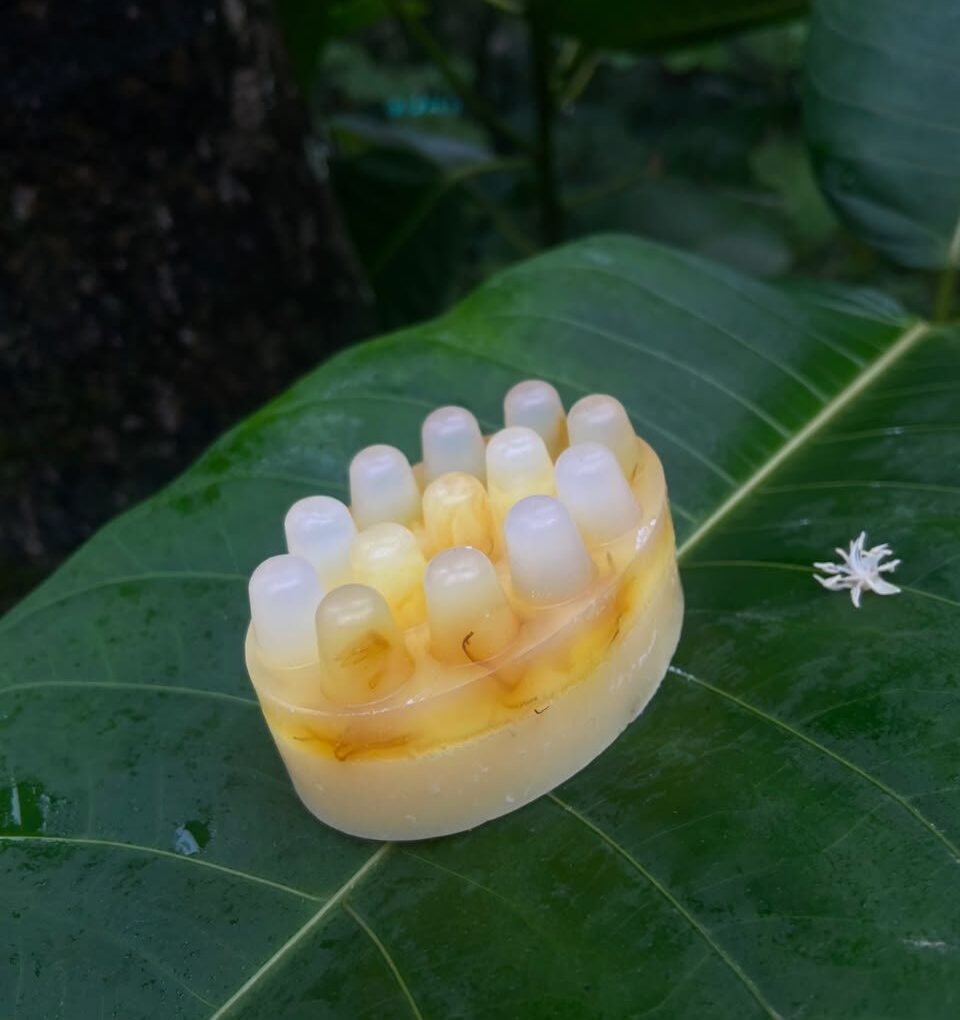 ✨ Sabonete artesanal massageador de calêndula e maracujá ð