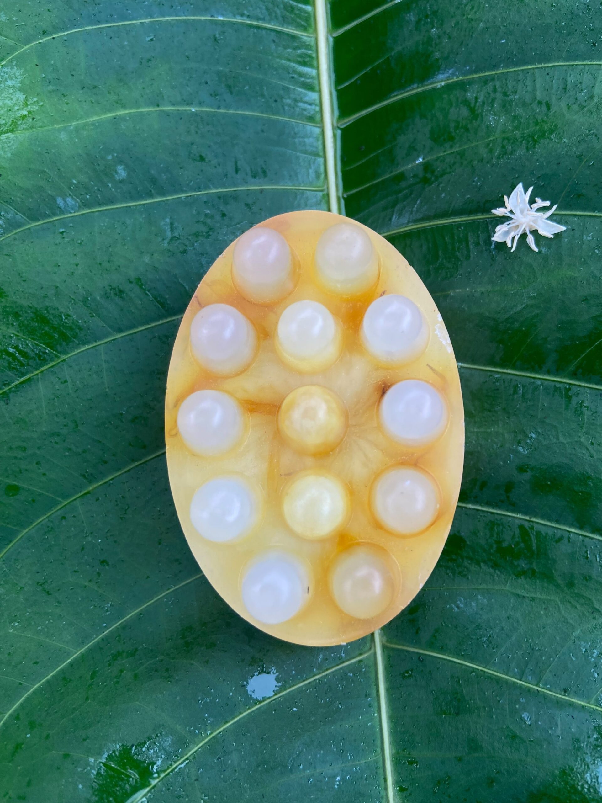 ✨ Sabonete artesanal massageador de calêndula e maracujá ð - Imagem 2